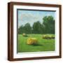 Brown Frame