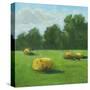 Stretched Canvas