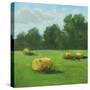 Stretched Canvas