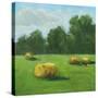 Stretched Canvas