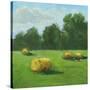 Stretched Canvas