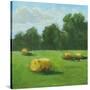 Stretched Canvas