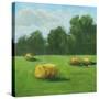 Stretched Canvas