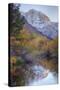 Carson Peak and Rush Creek, Sierra Nevada-Vincent James-Stretched Canvas