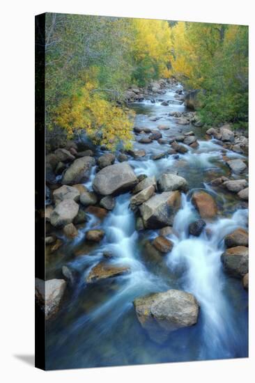 Carson River, Early Autumn Flow, Sierra Nevada-Vincent James-Stretched Canvas