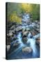 Carson River, Early Autumn Flow, Sierra Nevada-Vincent James-Stretched Canvas