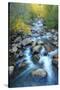 Carson River, Early Autumn Flow, Sierra Nevada-Vincent James-Stretched Canvas