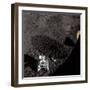 Cart and Antenna Shadow on the Moon-null-Framed Photographic Print