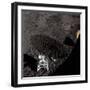 Cart and Antenna Shadow on the Moon-null-Framed Photographic Print