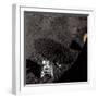 Cart and Antenna Shadow on the Moon-null-Framed Photographic Print