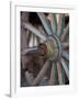 Cart and Cart Wheels in Cappadoccia, Turkey-Darrell Gulin-Framed Photographic Print