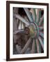 Cart and Cart Wheels in Cappadoccia, Turkey-Darrell Gulin-Framed Photographic Print