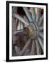 Cart and Cart Wheels in Cappadoccia, Turkey-Darrell Gulin-Framed Photographic Print