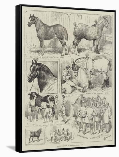 Cart-Horse Show at the Agricultural Hall-Alfred Courbould-Framed Stretched Canvas