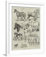 Cart-Horse Show at the Agricultural Hall-Alfred Courbould-Framed Giclee Print