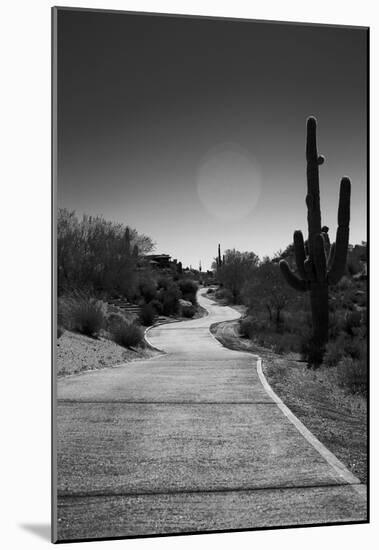 Cart Path on Desert Golf Course Arizona-null-Mounted Poster