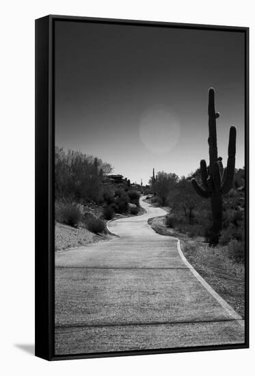 Cart Path on Desert Golf Course Arizona-null-Framed Stretched Canvas