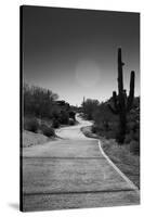 Cart Path on Desert Golf Course Arizona-null-Stretched Canvas