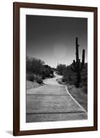 Cart Path on Desert Golf Course Arizona-null-Framed Photo