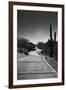 Cart Path on Desert Golf Course Arizona-null-Framed Photo