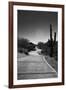 Cart Path on Desert Golf Course Arizona-null-Framed Photo