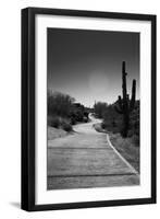 Cart Path on Desert Golf Course Arizona-null-Framed Photo