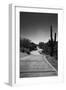 Cart Path on Desert Golf Course Arizona-null-Framed Photo