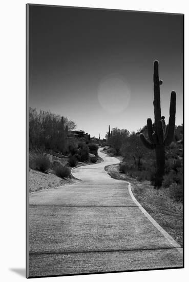 Cart Path on Desert Golf Course Arizona-null-Mounted Photo