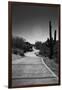 Cart Path on Desert Golf Course Arizona-null-Framed Photo