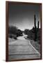 Cart Path on Desert Golf Course Arizona-null-Framed Photo