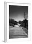 Cart Path on Desert Golf Course Arizona-null-Framed Photo