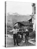 Cart Pulled by Two Oxen in the Basque Country, c. 1900-Ouvrard-Stretched Canvas