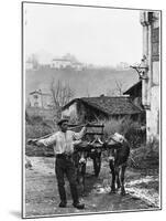 Cart Pulled by Two Oxen in the Basque Country, c. 1900-Ouvrard-Mounted Giclee Print