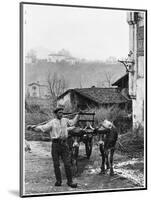 Cart Pulled by Two Oxen in the Basque Country, c. 1900-Ouvrard-Mounted Giclee Print