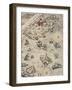 Carta Marina, Sea Map by Olaus Magnus, 1539-null-Framed Giclee Print