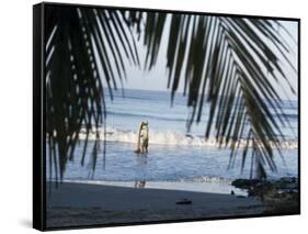 Cartagena, Colombia-null-Framed Stretched Canvas