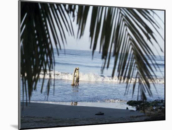 Cartagena, Colombia-null-Mounted Photographic Print