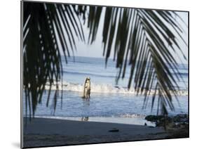 Cartagena, Colombia-null-Mounted Photographic Print