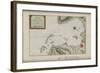 Carte de la baie de Saint-Louis à Saint-Domingue-null-Framed Giclee Print