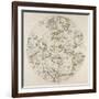 Carte De Tous Les Pors De Mer Du Monde, Paris, 1650-Nicolas Berey-Framed Giclee Print