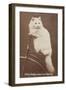 Carte de visite-null-Framed Giclee Print