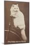 Carte de visite-null-Mounted Giclee Print