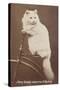 Carte de visite-null-Stretched Canvas