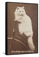 Carte de visite-null-Framed Stretched Canvas