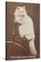 Carte de visite-null-Stretched Canvas