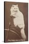 Carte de visite-null-Stretched Canvas