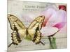 Carte Postale Magnolia I-Amy Melious-Mounted Art Print
