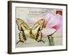 Carte Postale Magnolia I-Amy Melious-Framed Art Print