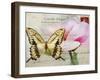 Carte Postale Magnolia I-Amy Melious-Framed Art Print