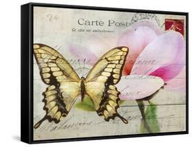 Carte Postale Magnolia I-Amy Melious-Framed Stretched Canvas